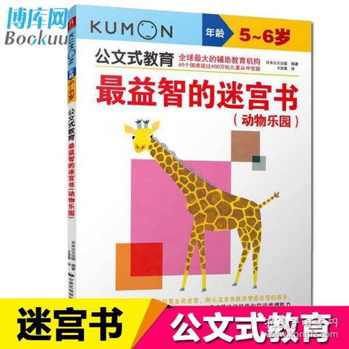 孔網分類